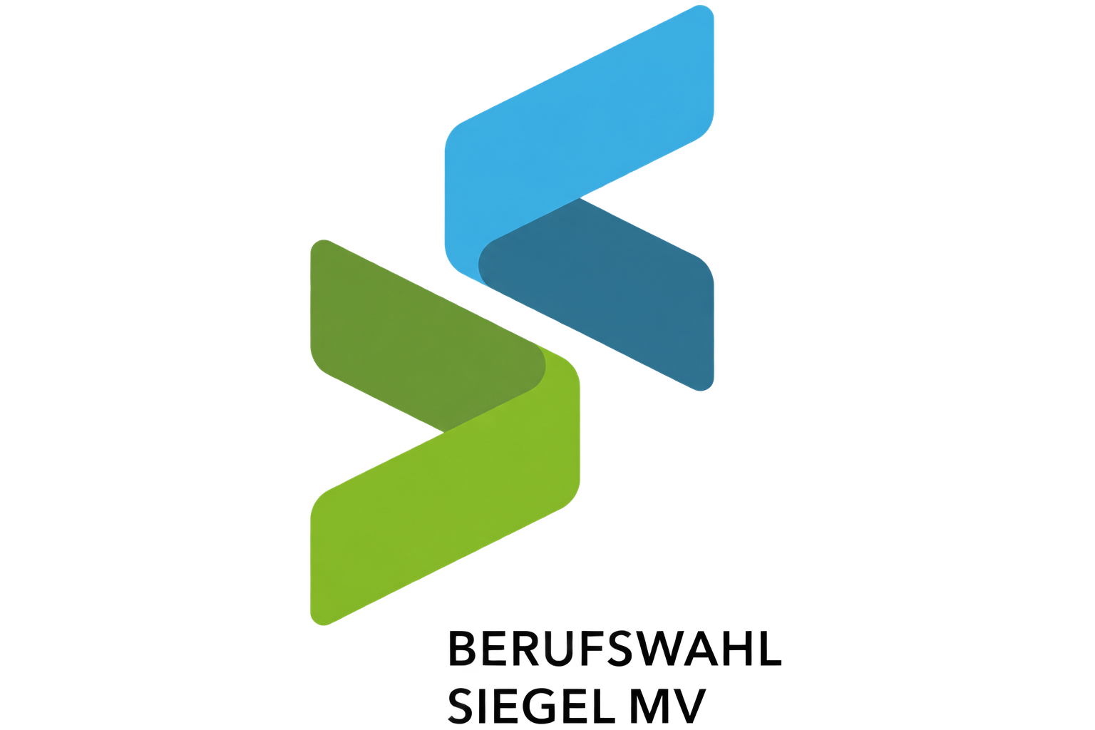 Logo Berufswahlsiegel
